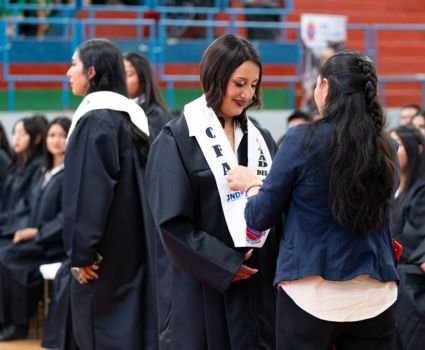Proceso de formación