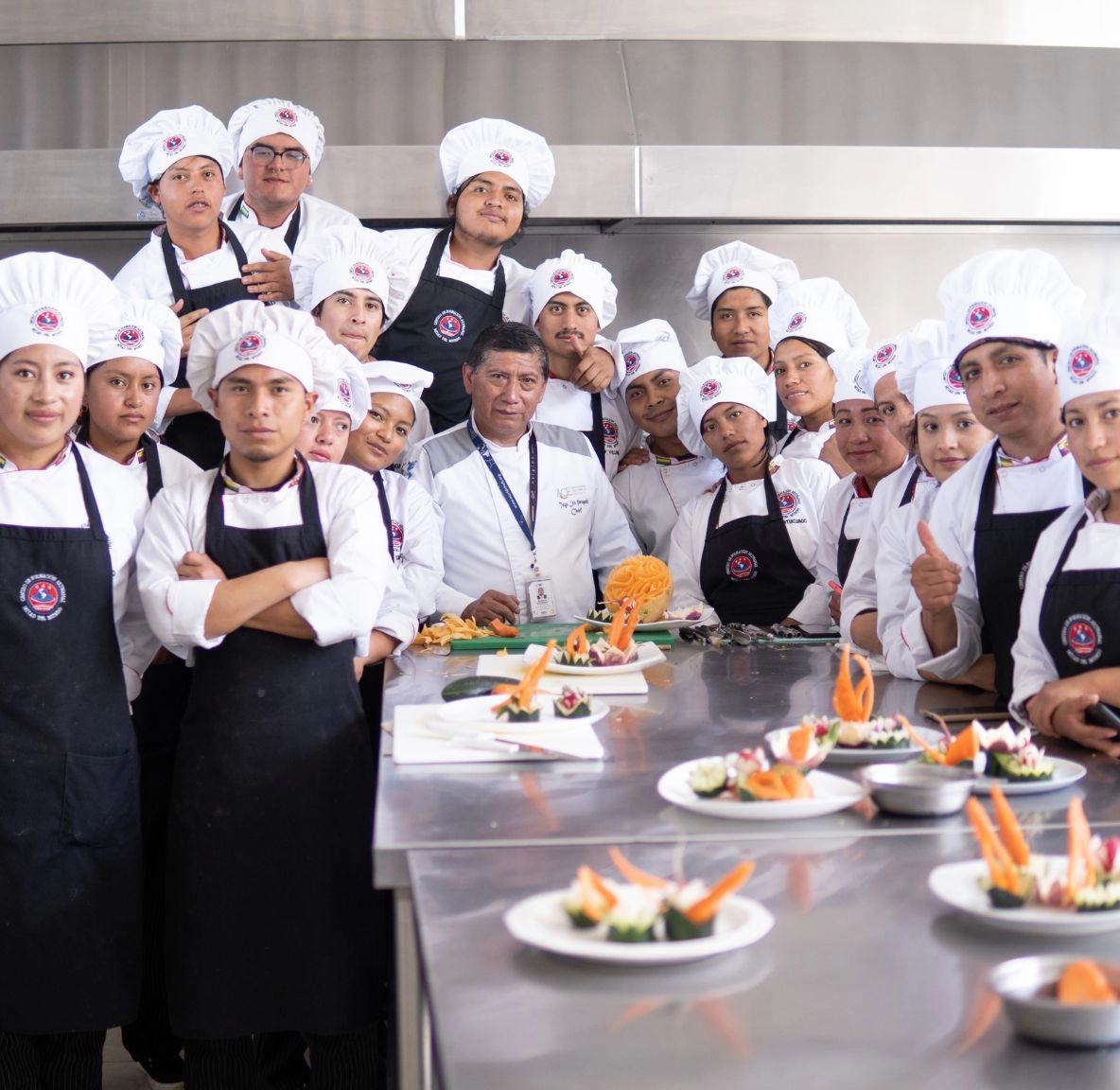 Cocina profesional
